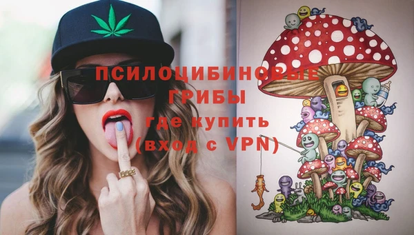 ешки Абаза