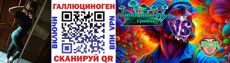 купить  сайты  Александров  Галлюциногенные грибы мицелий 